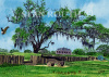 Chalmette Battlefield-Beauregard House '97